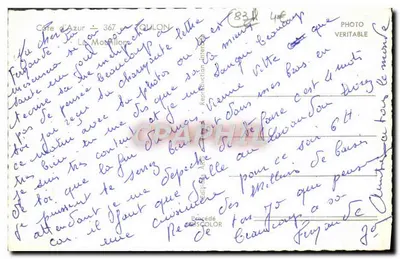 Widok wybrzeża Azury — droga otoczona palmami — wydawca: C. G. P. M. — N° 367 — Rewers