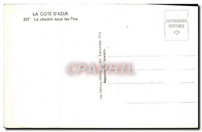 La Côte d'Azur — Le chemin sous les pins — Les Éditions Frantz, Nice, n°327 — Rewers