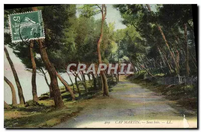 Cap Martin — Forest Path — LL. — 409