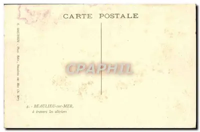 Beaulieu-sur-Mer — widok przez oliwki — wydawca E. Dauphin — Rewers