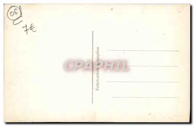 Nice — A travers les Pins — C.R.A.S. n°238 — Rewers