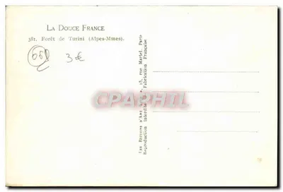 Floresta de Turini — Alpes-Maritimes — Edições n'Art Turin — Verso