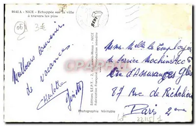 Nice - Widok miasta przez sosny — Wydawnictwo S.E.P.T. - 2, rue Mexis-Mossa - Nice — Rewers