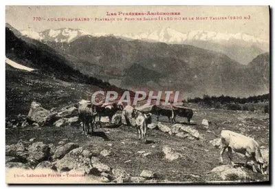 Pirineus-Ariégeois — Aulus-les-Bains — Planícies do Pont de Salrix (1650 m.) e o Mont Vallier (2830 m.) — Ed. Labouche Frères - Toulouse