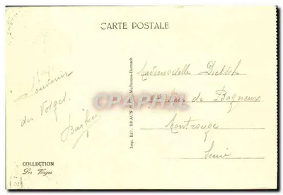 Vittel — Aleja w parku — wydawca Braun & Dornach — Rewers