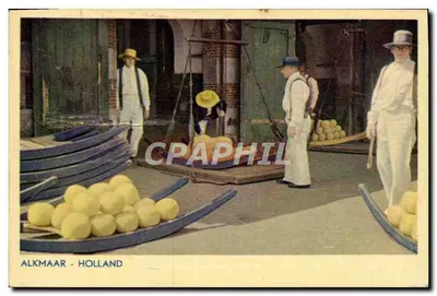 Alkmaar - Holanda — mercado de laranjas — editor Kleurfoto Herman Cohn