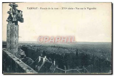 Tannay - Pináculo da torre - Século XVI - Vista sobre o Vignoble