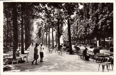 Vichy (Allier) — Uma Avenida do Parque das Fontes — Yvon