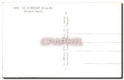 Kępka kwitnąca — Wyspa Brehat (Północny Wysp) — Wydawnictwo Art Martel — Rewers