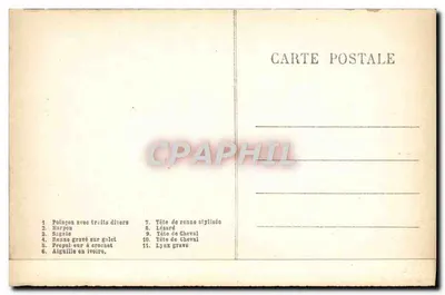 Laugerie-Basse (Les Eyzies, Dordogne) — Espécimes de peças recolhidas na escavação de Marseille — editor desconhecido, número de série não visível — Verso