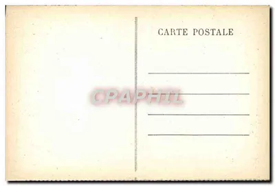 Grotta del Grand-Roc — Formazione calcarea a forma di arbusto a Laugerie-Basse — n. 16 — Verso
