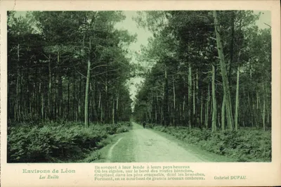 Bilhete postal antigo Environs de Leon Les exiles