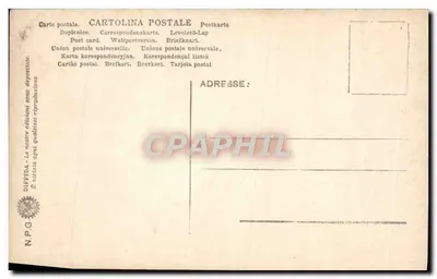 Stucchi della Farnesina — Muzeum Termów — Diffida — Rewers