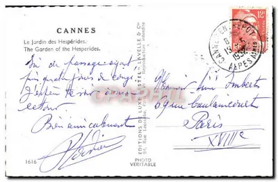 Cannes — El Jardín de los Hespérides — Estel — Reverso