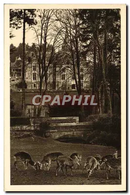 Parque Zoológico de CLÈRES (Seine-Inf) — Cervos pseudaxis — Edição do Parque Zoológico de CLÈRES