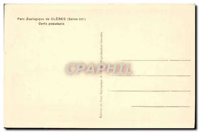 Parque Zoológico de CLÈRES (Seine-Inf) — Cervos pseudaxis — Edição do Parque Zoológico de CLÈRES — Verso
