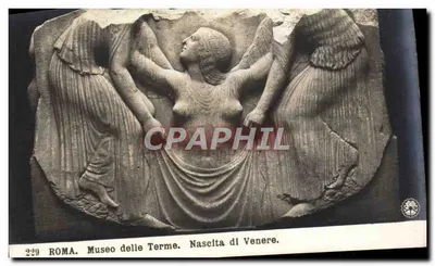 Urodzenie Wenus — rzeźba w Muzeum Termałów — wydanie N.P.G.