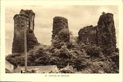 Castelo de Hérisson — ruínas de três torres parcialmente cobertas de vegetação — Edição La Cigogne, n°18