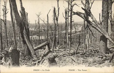 Pinon — A Floresta — B. Nongarède e H. Leaupin-Salmons