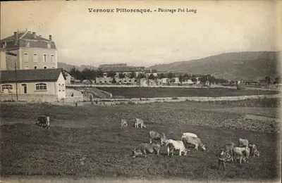 Vernoux Picturesque — Long Meadow — Cathedral & Hospital, Castle A. Yannarel