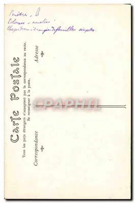 Lisieux — Wnętrze katedry — A.G. N°18 — Rewers