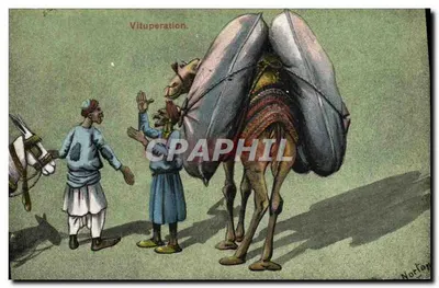 Vituperação — caricatura de um camelo com guarda-chuvas — editor Norton
