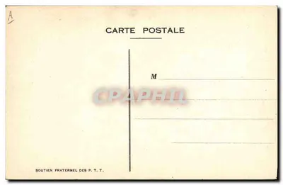 Postbode in auto — karikatuur — Paard — Achterkant