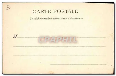 Raccolta di Violette — scena di raccolta in foresta — editore F.R. n°38 — Verso