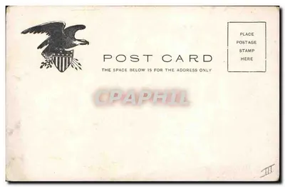Statue of Liberty, New York — éditeur ILL. POST CARD CO., N.Y. — n° de série 110 — Verso