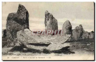 Carnac — Pierre à Sacrifice de Kermario — LL. n°11