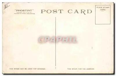 Estátua da Liberdade, Porto de Nova York — Detroit Publishing Co. n° 9683 — Verso