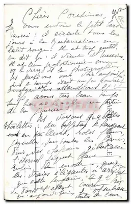 Baron Paucci — 18 lat — Wysokość 62 centymetry — SIAKINAVACCI & CIE, SHIMPUVA — Rewers
