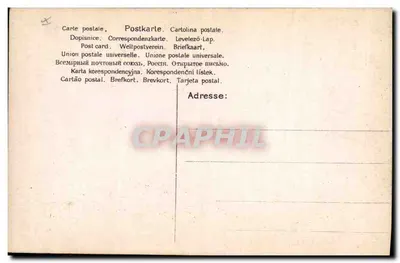 A Encantadora de Pássaros — STAI — edição STAI n°71 — Verso
