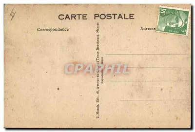 Gato na árvore — cena humorística — J. Noaizis, n°167 — Verso
