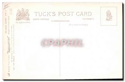Zwei Kinder am Strand — Malerei von E. van Goethem — Ausgabe Tuck's Post Card — Rückseite