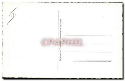 Michelle Morgan — kolorowy portret z liliami — wydawca Viny n°29 — Rewers