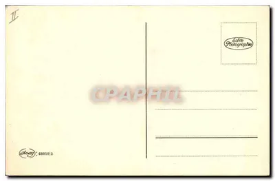 Gato ruivo — retrato — Échite Photographie, n° 68010/2 — Verso