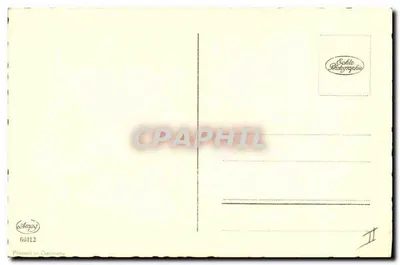 Tigrysi kocię — studio — Amag, seria 69412 — Rewers