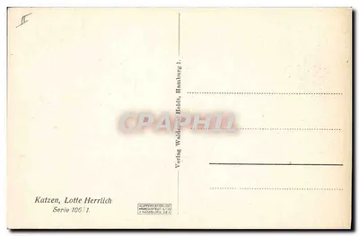 Dois gatos — série 106 — Verlag Waldenat Heldt, Hamburgo — Verso