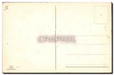 Gattino — illustrazione — Photocolor, n° 1287 — Verso