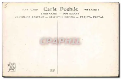 Gato e gatinhos — Em Repouso — J. Le Roy (1910) — ND Phot. — Verso