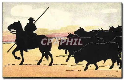 Cowboy com touro — cena de corrida — Pelvion Philipp