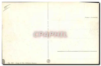 Batalha de touros — silhuetas — Félixson Philipp — Verso
