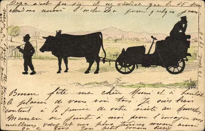 Bilhete postal antigo Contre a luz Attelage Boeuf Automobile