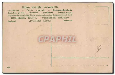 Kocię w koszyku — zdjęcie — BN — Rewers