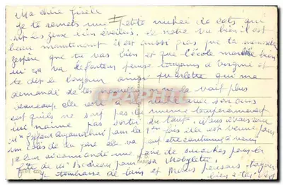 Gato siamês — gato adulto e filhotes em uma cesta — M.D. PARIS, série 4225 — Verso