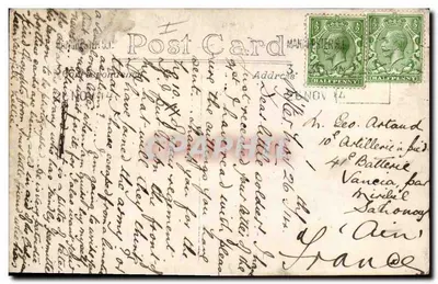 Kot w koszu z wąska — brytyjska kartka pocztowa — Manchester, 1914 — Rewers