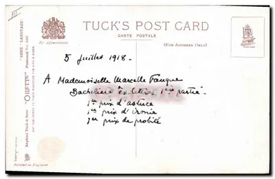 Chat noir et chien sur planche à roulettes — scène d'amitié — éditeur Tuck's Post Card — Verso