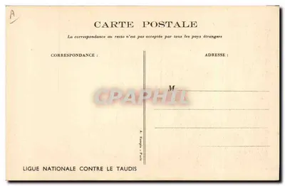 Enfants et araignées — illustration humoristique — N. N. (éditeur non visible) — Verso