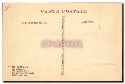 As carrapatos africanos — Sujeto ilustrado por Ch. B. Trauc — Editor R. Prudon, Paris — Verso